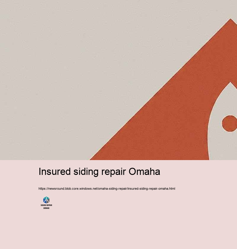 Budget Friendly and Trustworthy Siding Repair in Omaha