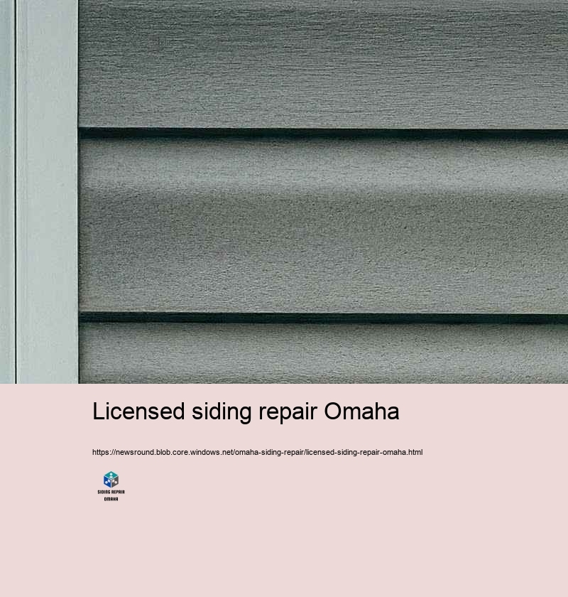 Increase Your Home’Suppress Allure with Specialist Home House siding Repair in Omaha