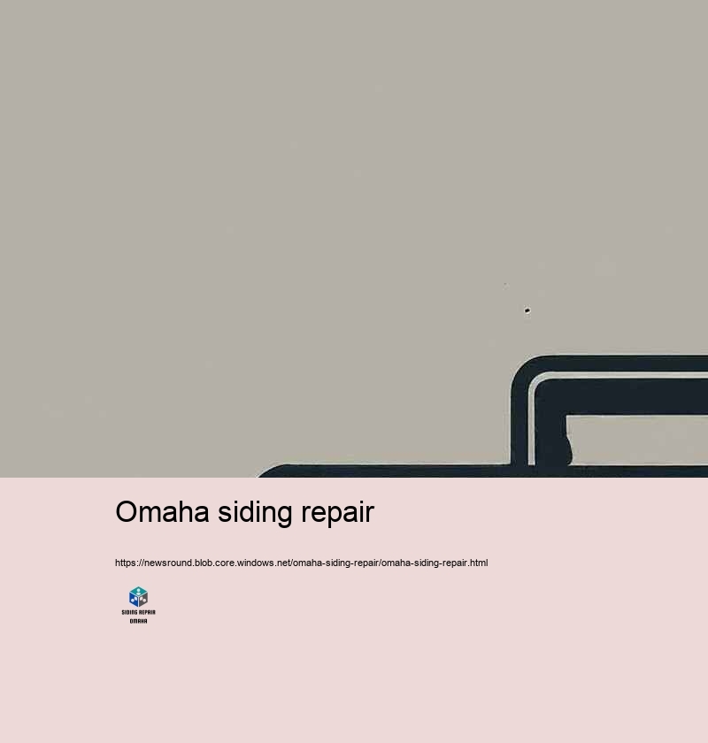 Why Select Our House Exterior siding Repair Experts in Omaha?