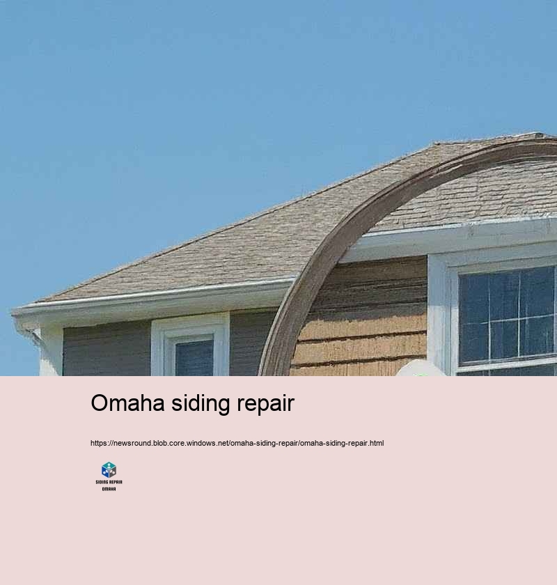 Improve Your Home’Subdue Attraction with Professional Home Siding Repair in Omaha