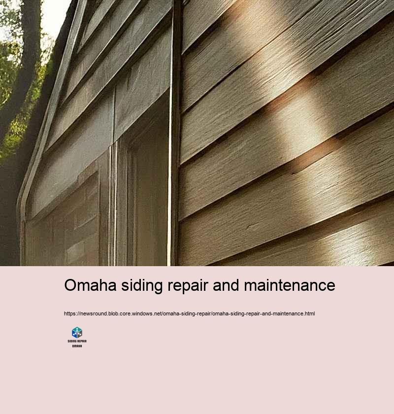 Economical and Credible Siding Repair in Omaha