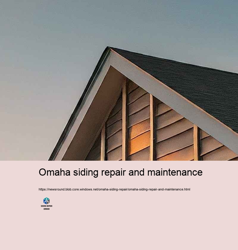 Increase Your Home’Curb Charm with Professional Exterior Siding Repair in Omaha