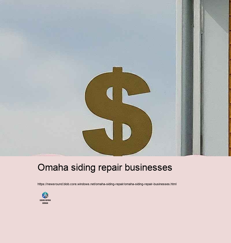 Why Select Our Residence House siding Repair Experts in Omaha?
