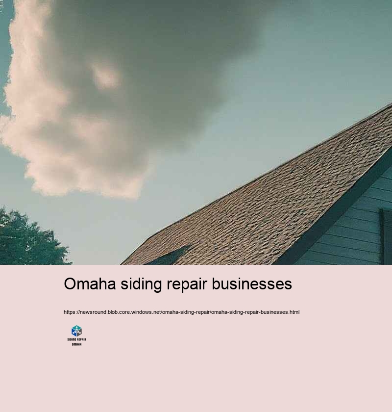Client Testimonials: Siding Repair Success Stories in Omaha
