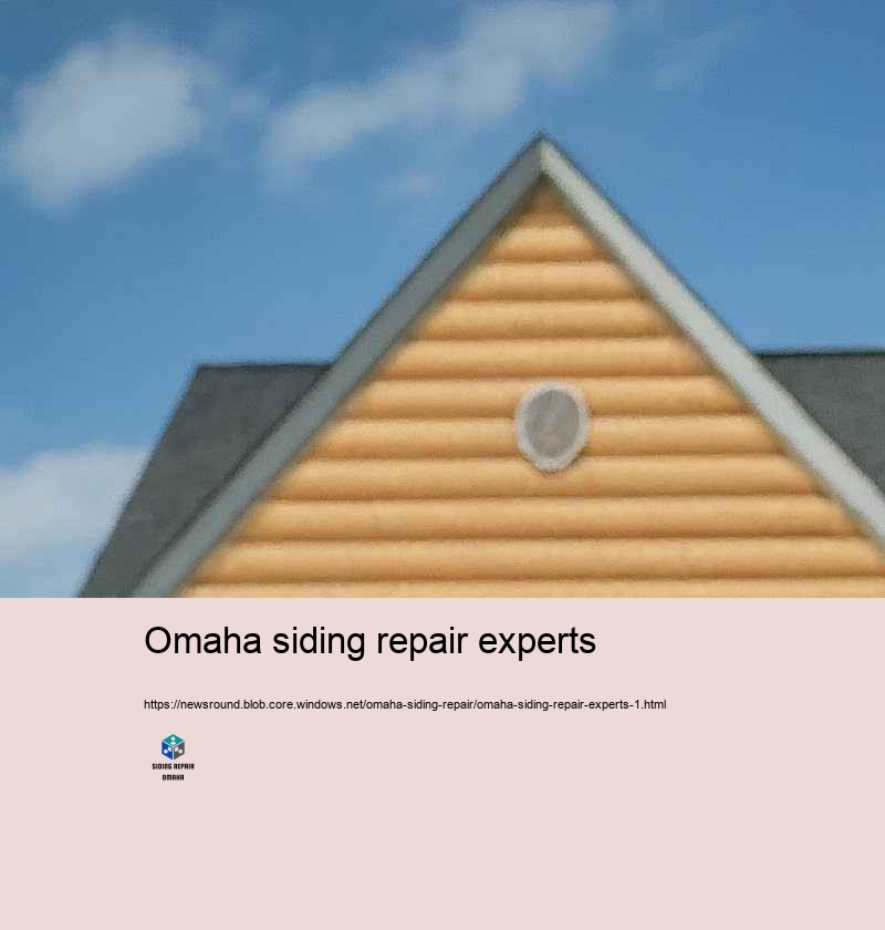 Why Select Our Home Siding Repair Specialists in Omaha?
