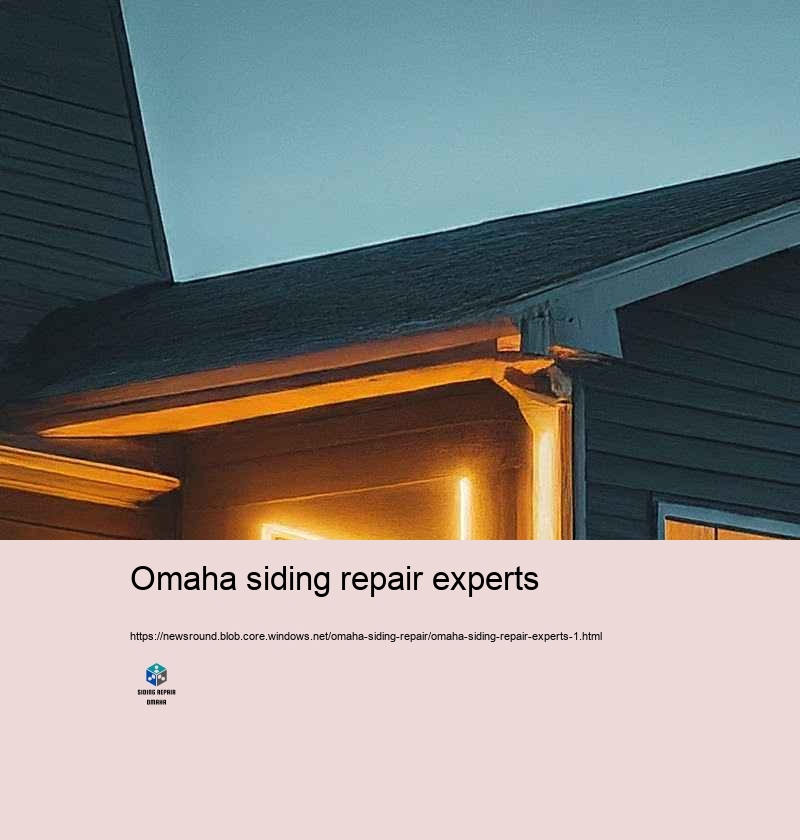 Customer Evaluations: Siding Repair Success Stories in Omaha