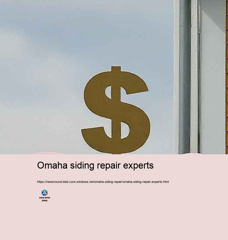 Why Choose Our Siding Repair Specialists in Omaha?