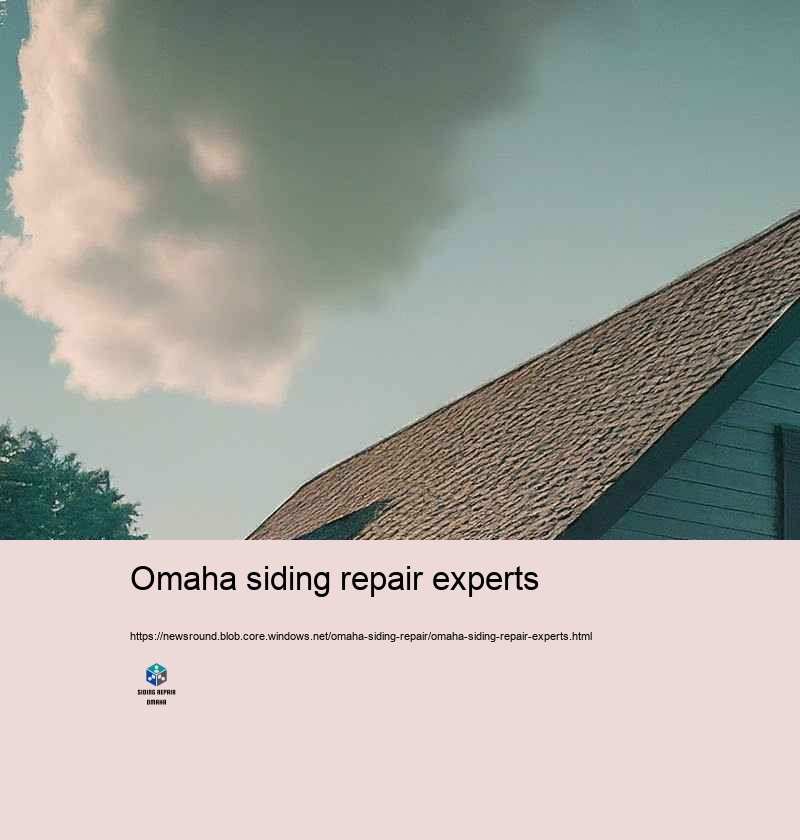 Consumer Testimonials: Siding Repair Success Stories in Omaha