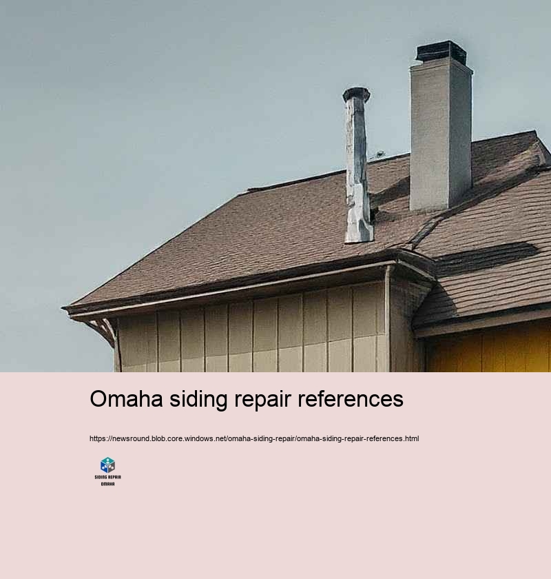 Spending plan Friendly and Relied on Siding Repair in Omaha