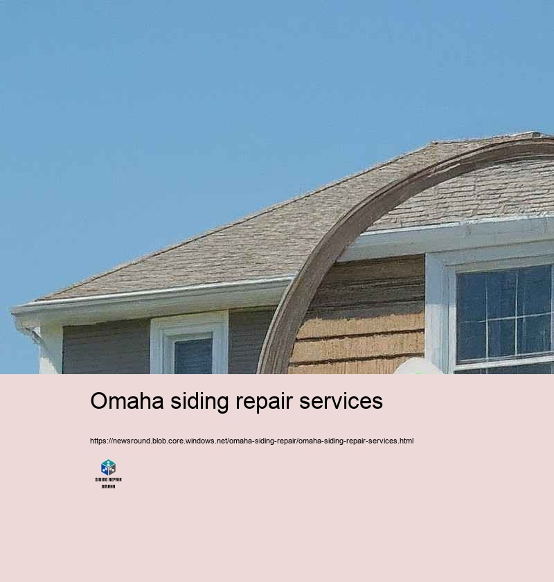 Improve Your Home’Suppress Attraction with Specialist Outside Siding Repair in Omaha