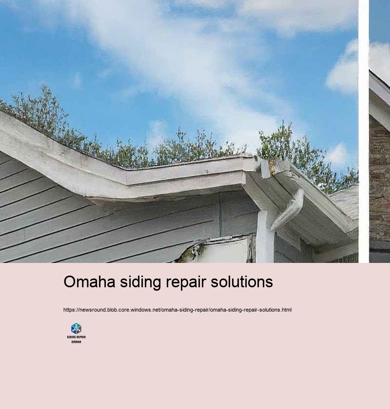 Boost Your Home’Suppress Charm with Specialist Residence Exterior siding Repair in Omaha