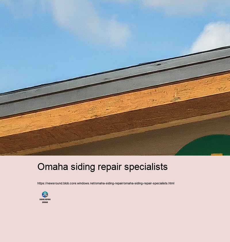 Why Select Our Siding Repair Experts in Omaha?