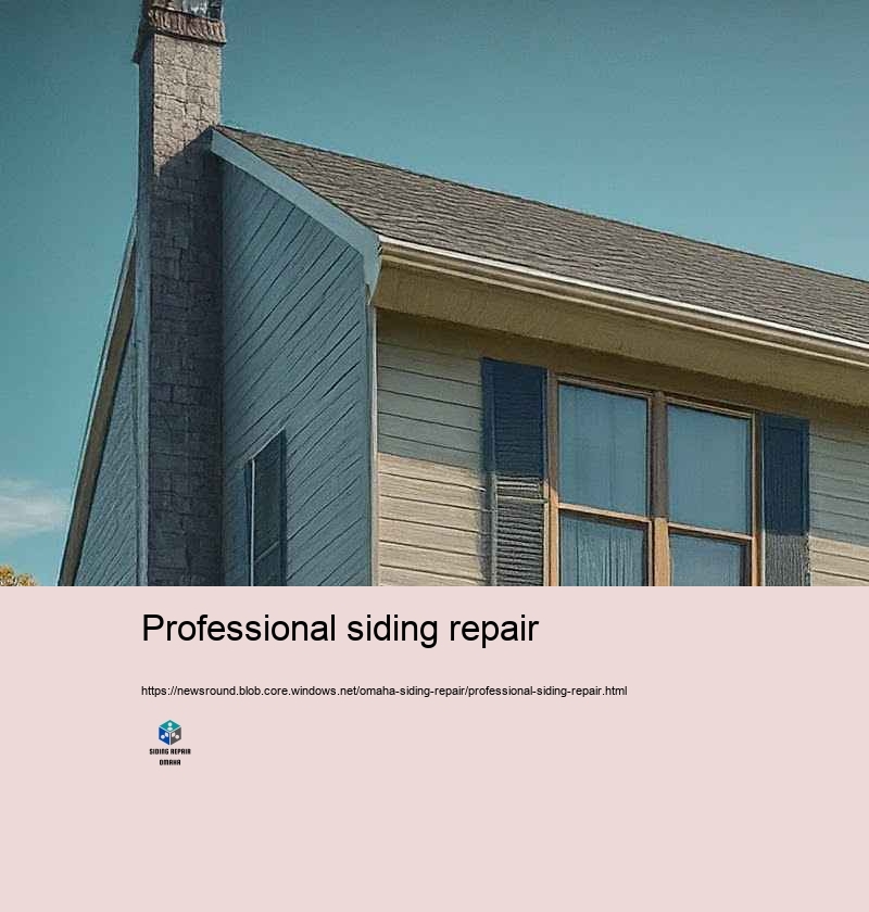 Cost effective and Reliable Siding Repair in Omaha