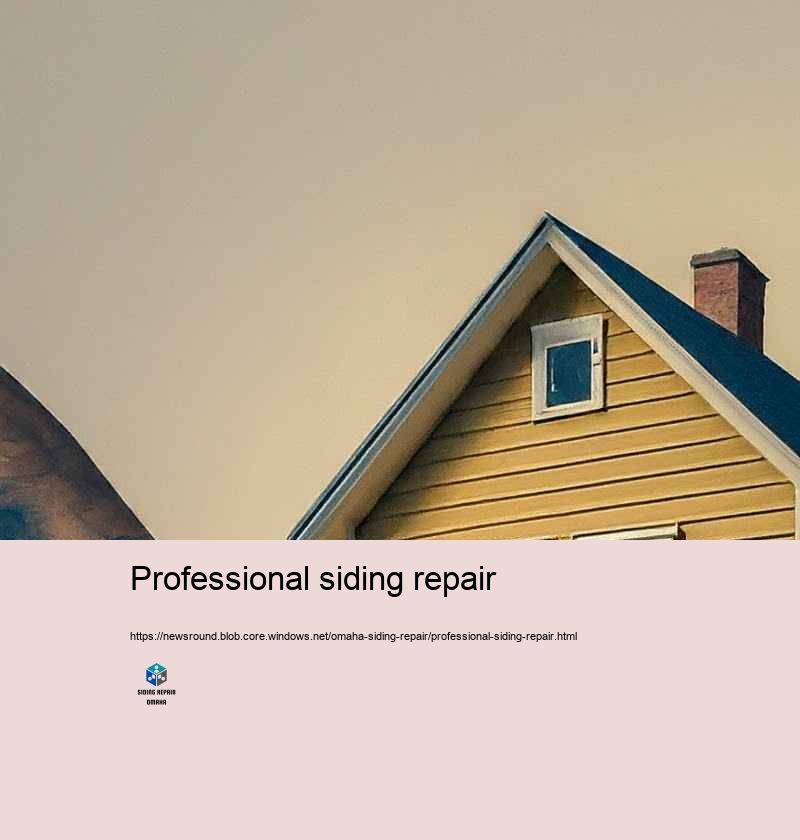 Improve Your Home’Suppress Appeal with Professional Siding Repair in Omaha