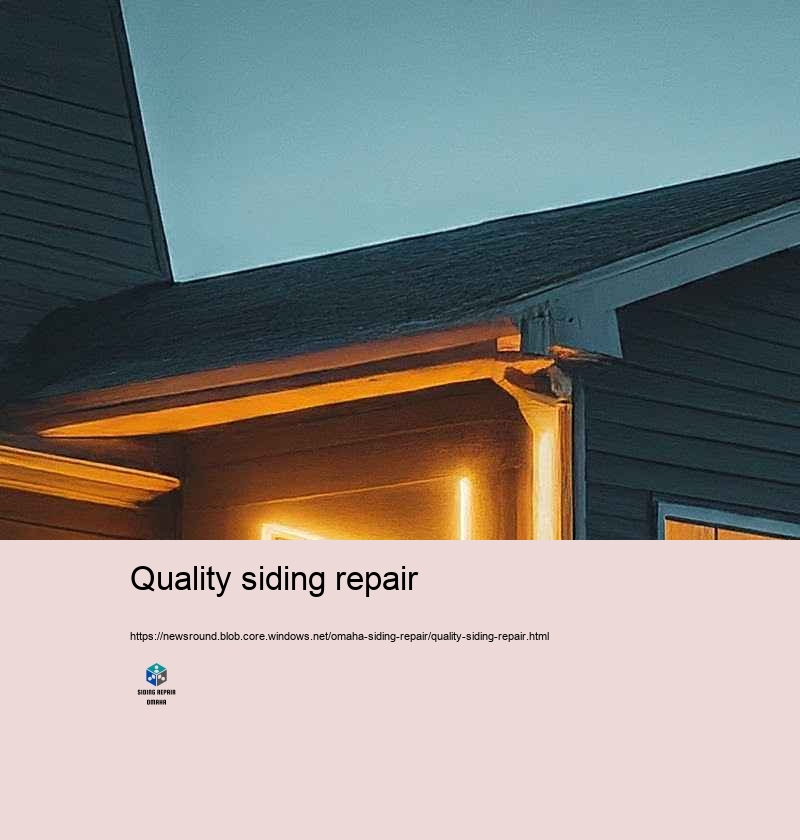 Client Statements: Siding Repair Success Stories in Omaha