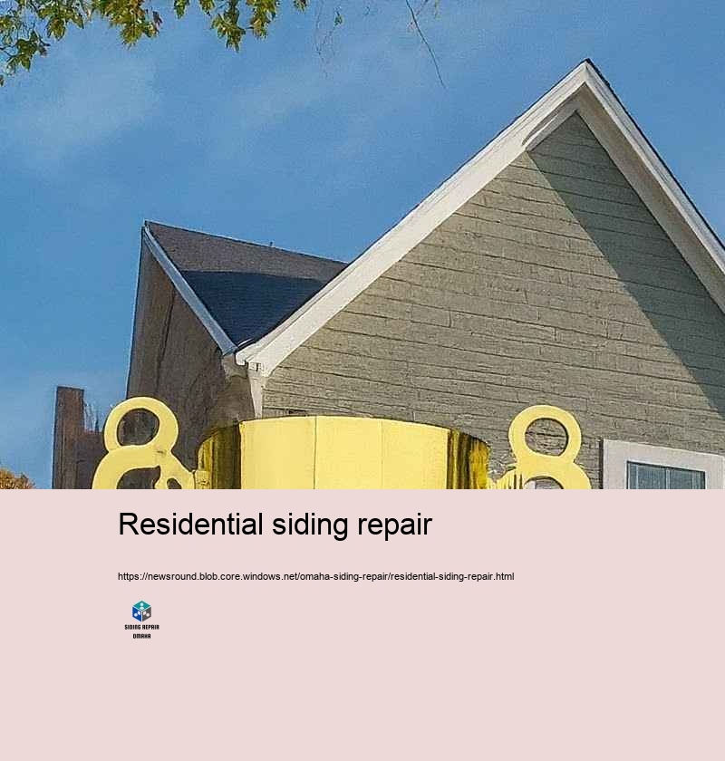 Client Recommendations: Siding Repair Success Stories in Omaha