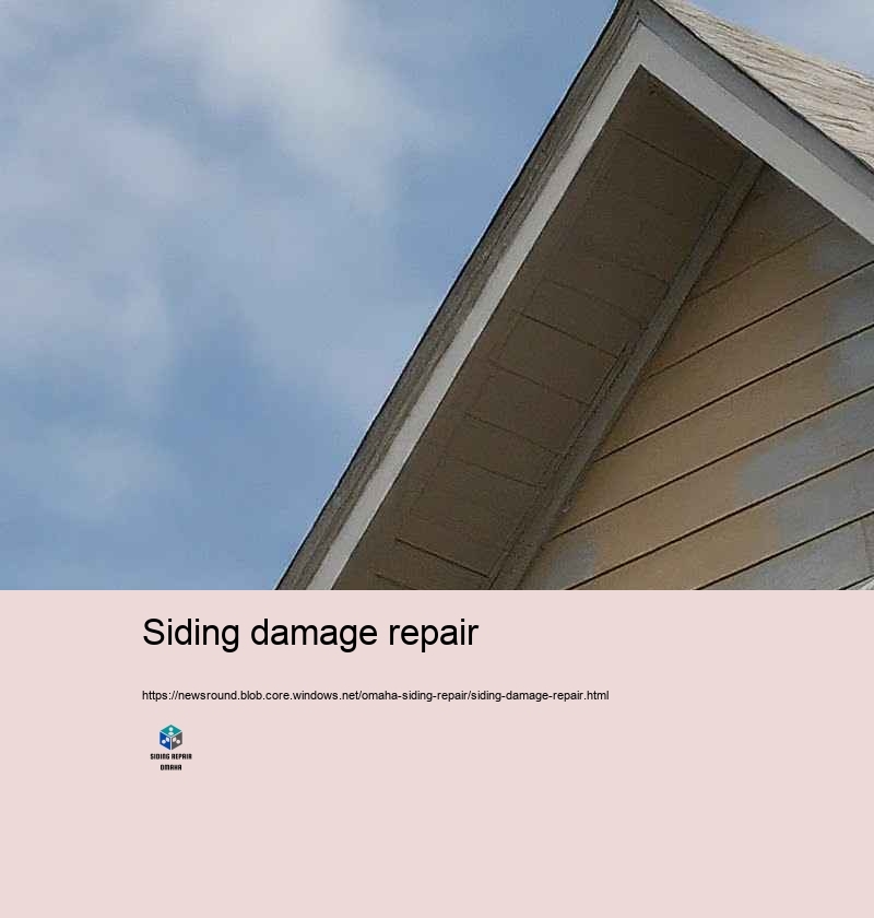 Economical and Relied on Siding Repair in Omaha