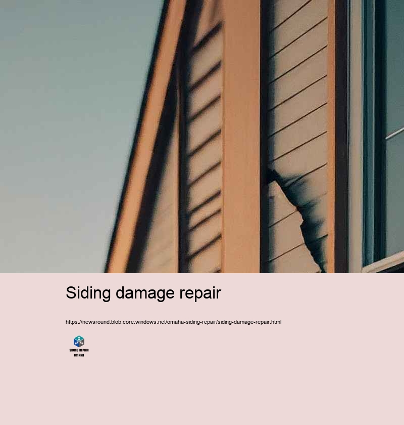 Client Analyses: Siding Repair Success Stories in Omaha