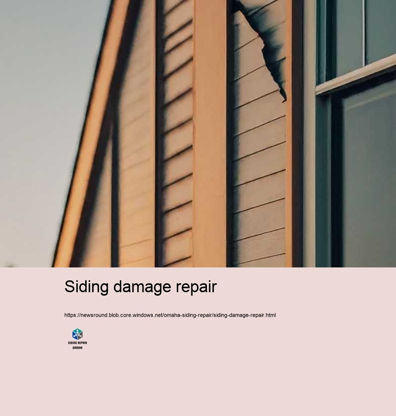 Siding damage repair