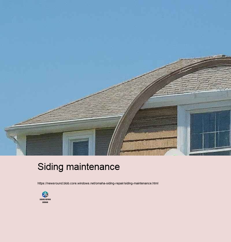 Why Pick Our Siding Repair Experts in Omaha?