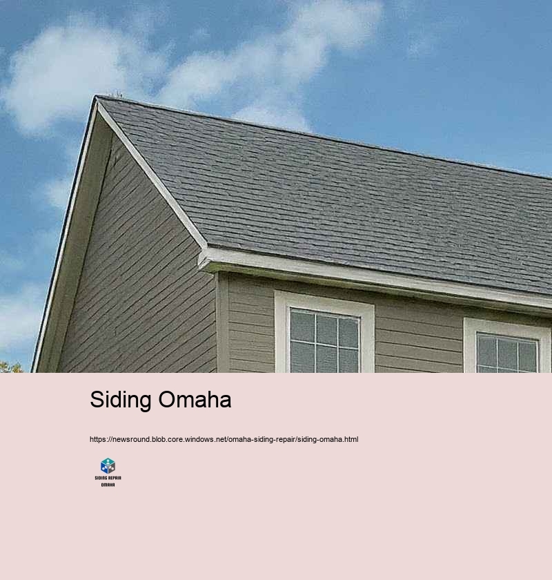 Why Select Our Home Exterior siding Repair Specialists in Omaha?