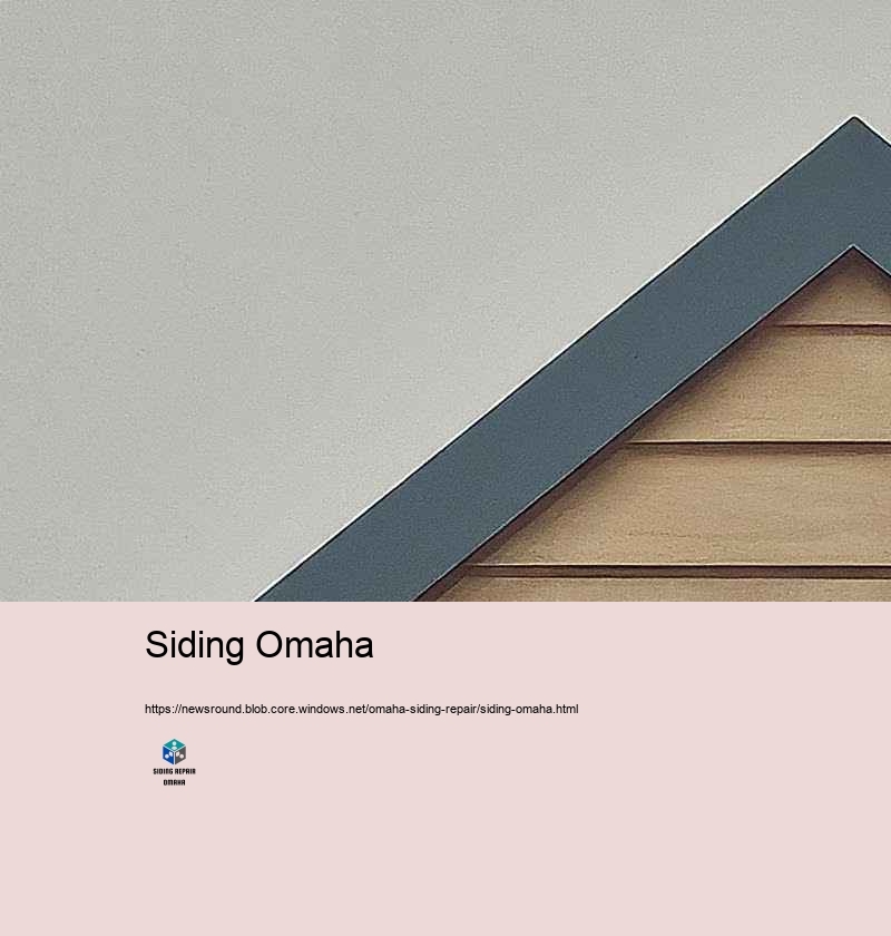 Client Suggestions: Siding Repair Success Stories in Omaha