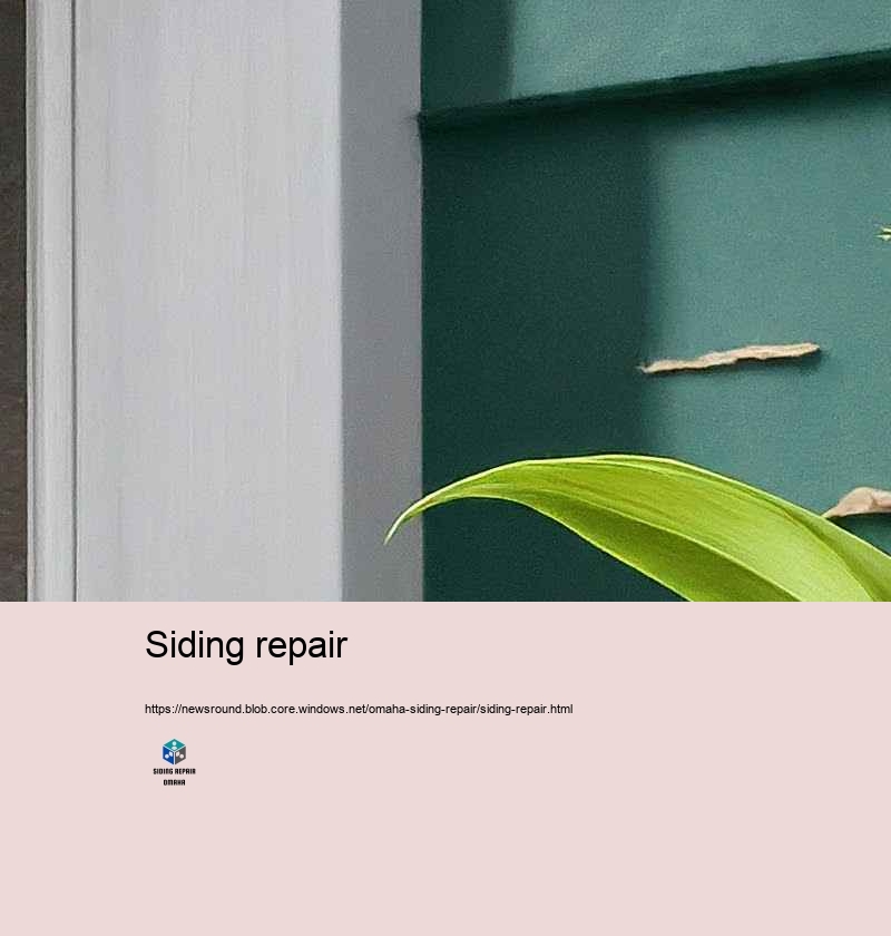 Budget Friendly and Trusted Siding Repair in Omaha