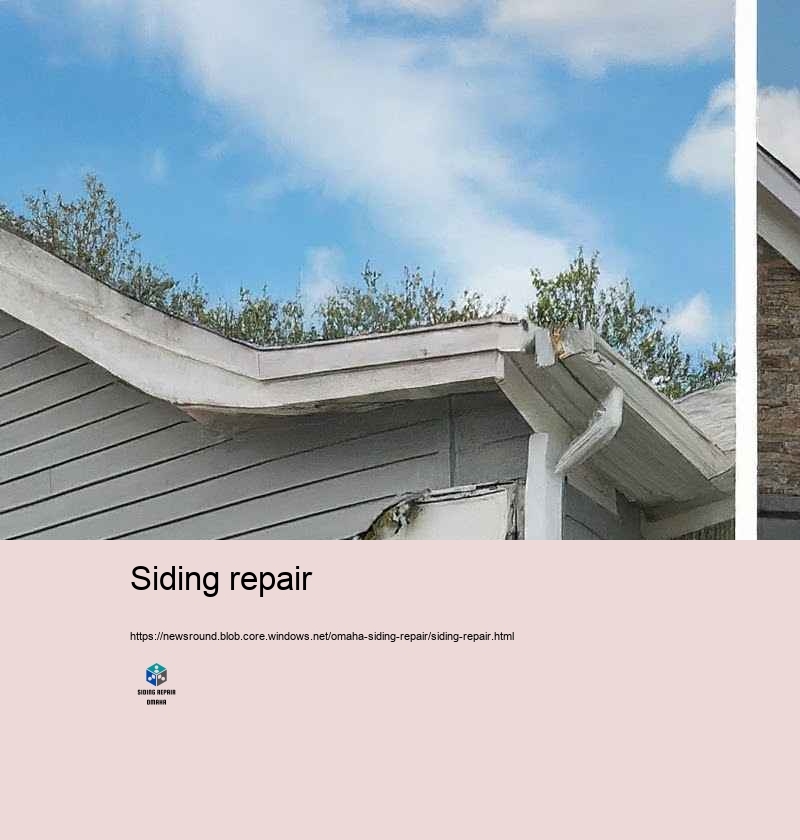 Boost Your Home’Subdue Appeal with Expert Home Exterior siding Repair in Omaha