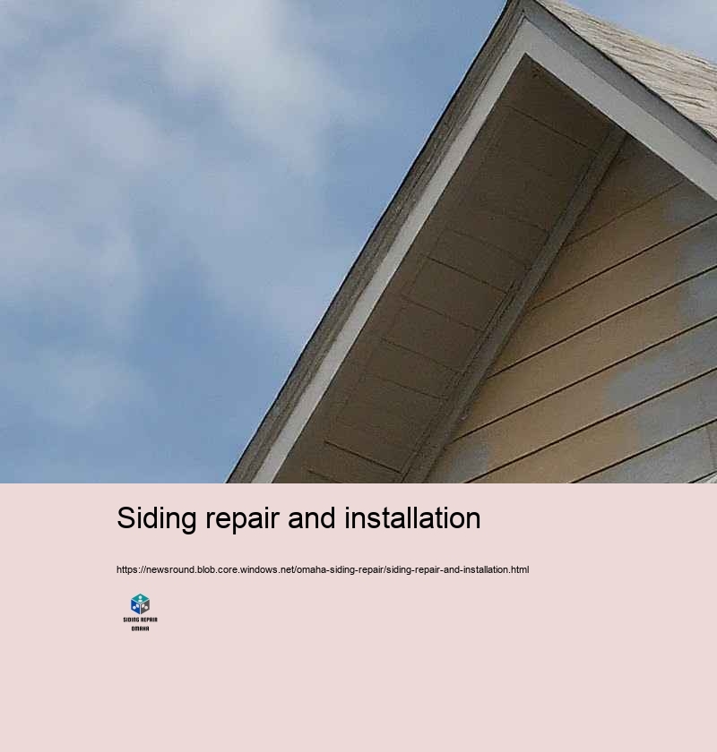 Economical and Trusted Siding Repair in Omaha