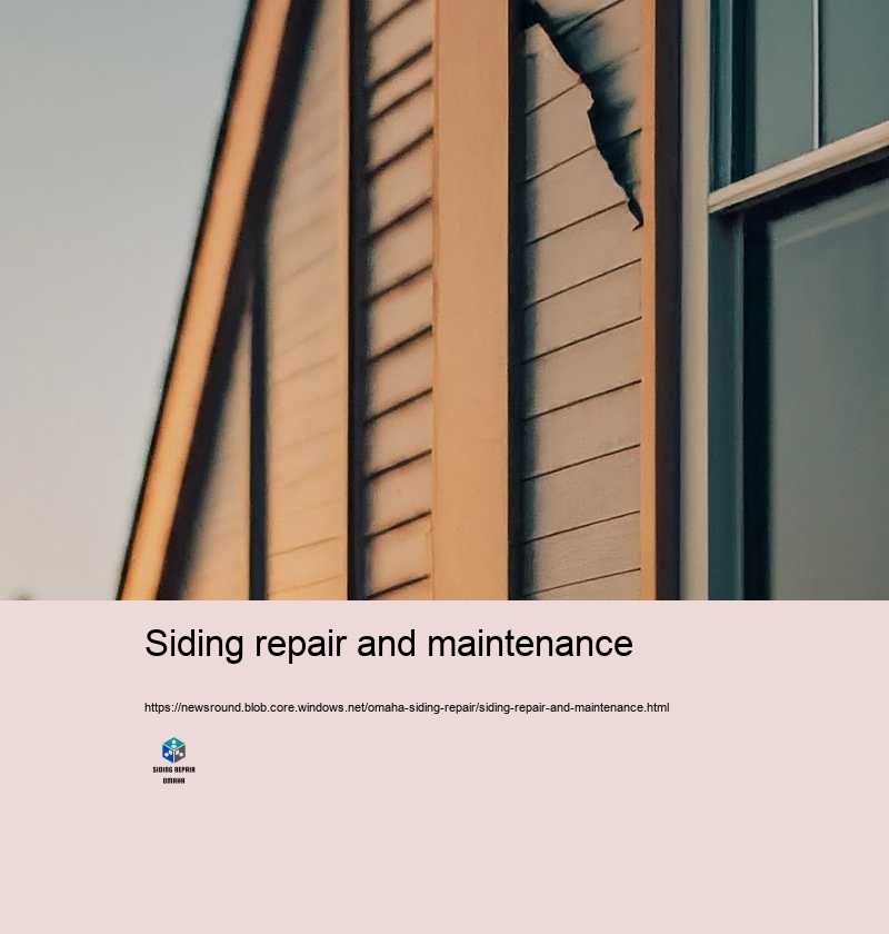 Siding repair and maintenance