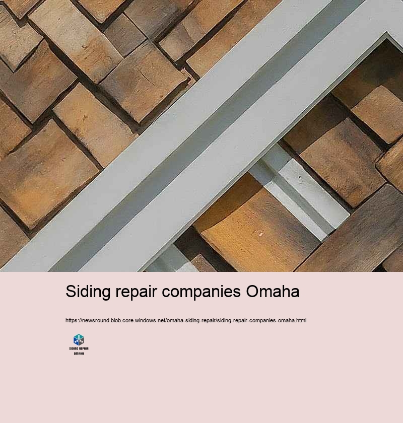 Spending plan Friendly and Trusted Siding Repair in Omaha