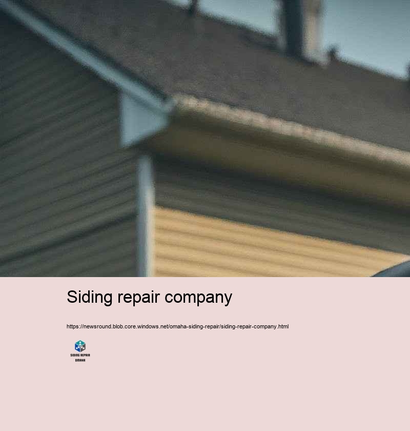 Spending plan Friendly and Reputable Siding Repair in Omaha