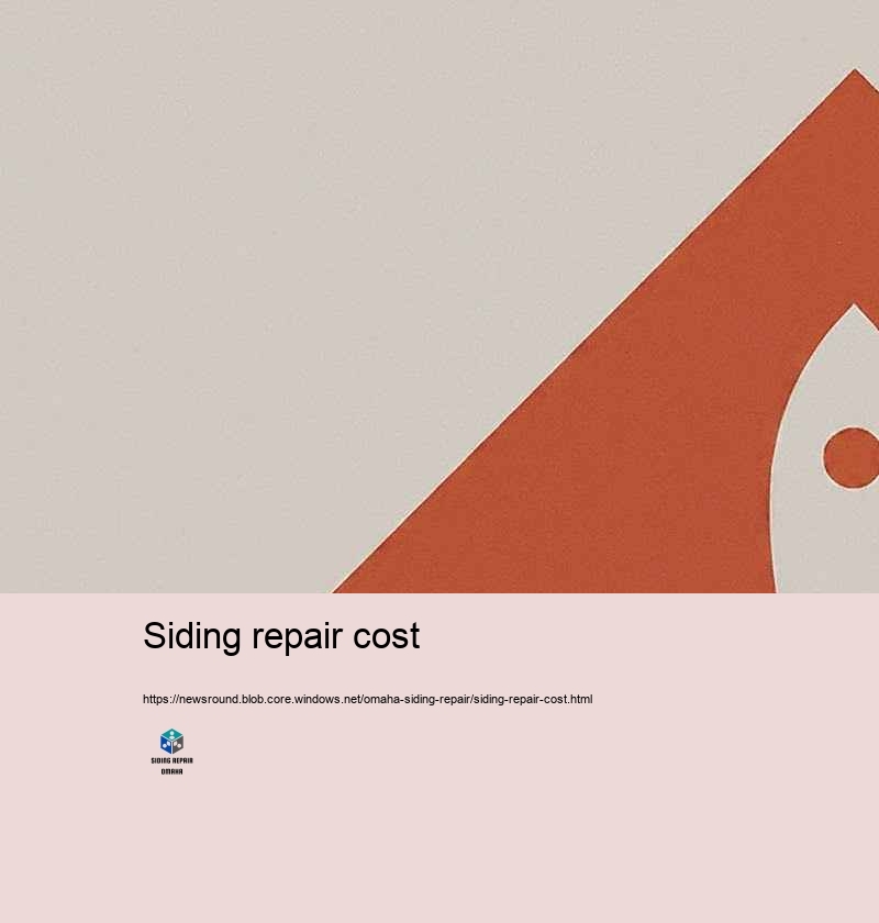 Cost-effective and Reputable Siding Repair in Omaha