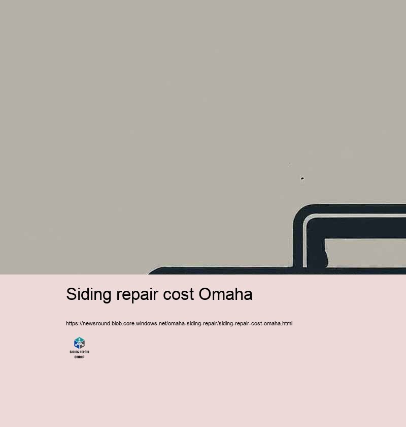 Why Select Our House House siding Repair Professionals in Omaha?