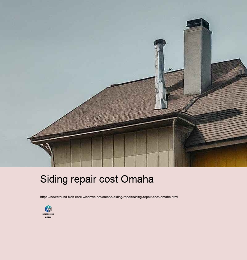 Low-cost and Trustworthy Siding Repair in Omaha