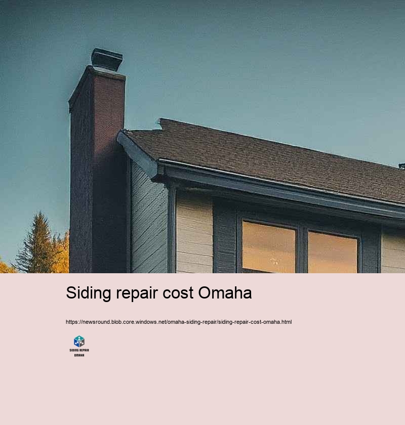 Customer Recommendations: Siding Repair Success Stories in Omaha