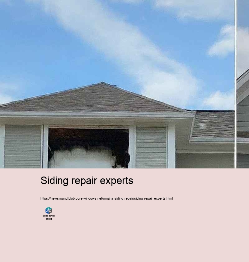 Why Select Our Outside Exterior siding Repair Experts in Omaha?