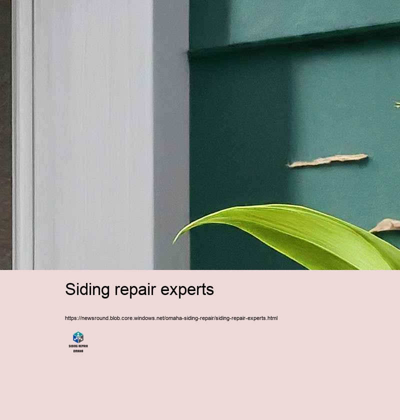 Inexpensive and Dependable Siding Repair in Omaha