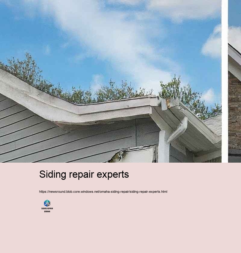 Increase Your Home’Suppress Allure with Expert Home House siding Repair in Omaha