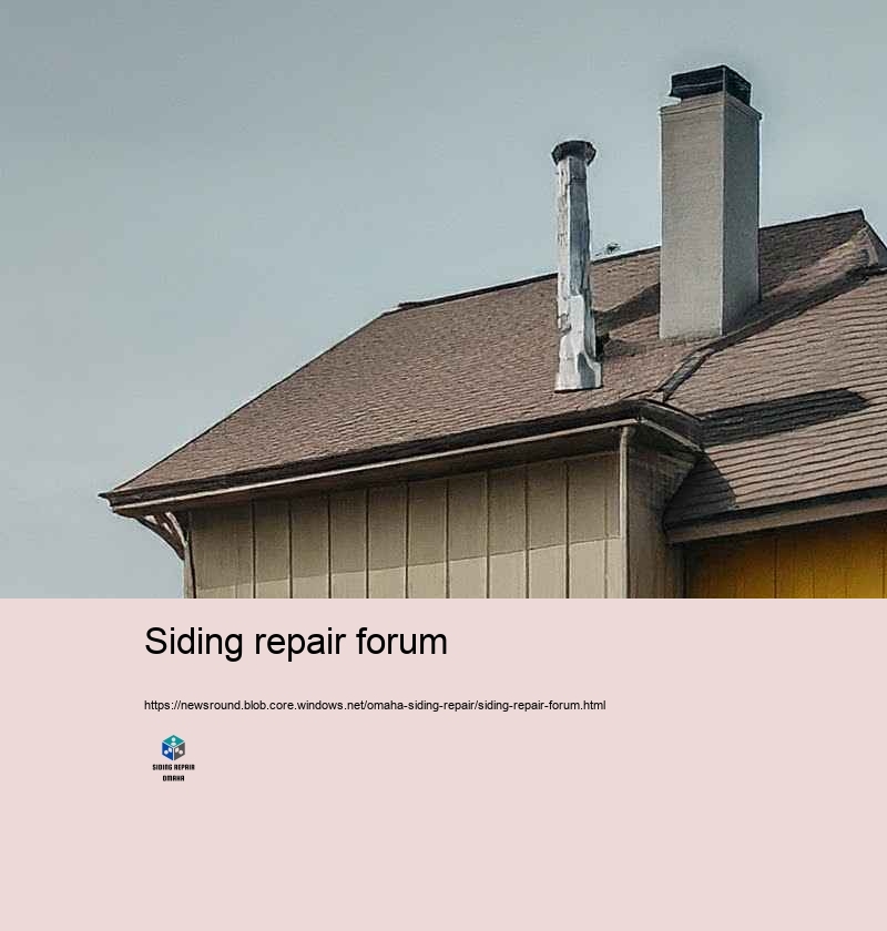 Economical and Reliable Siding Repair in Omaha