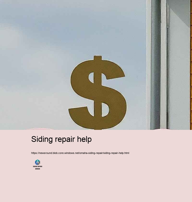Why Choose Our Outside House siding Repair Specialists in Omaha?