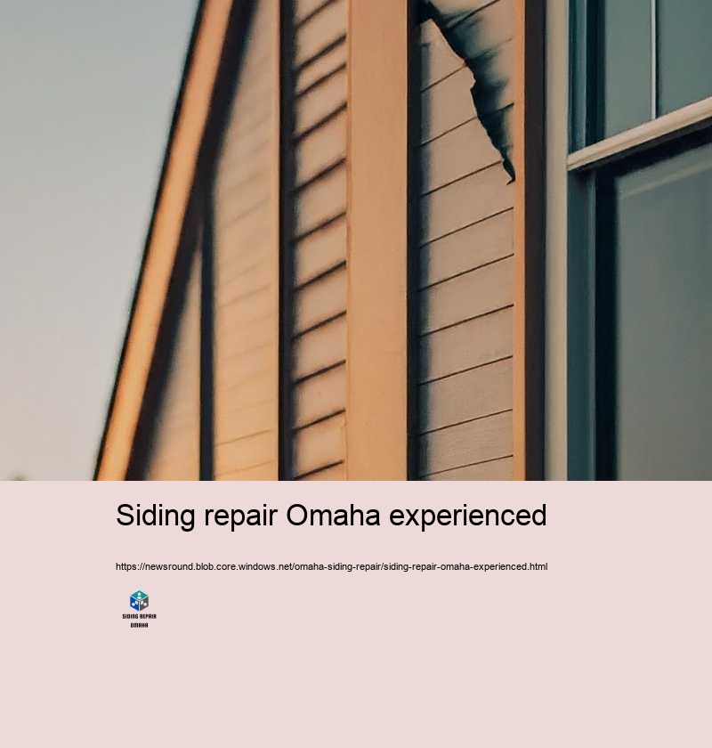Siding repair Omaha experienced