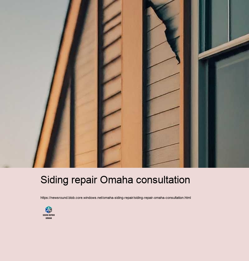 Siding repair Omaha consultation