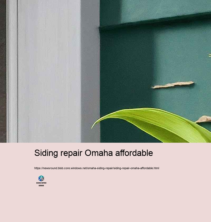 Budget plan Friendly and Reputable Siding Repair in Omaha