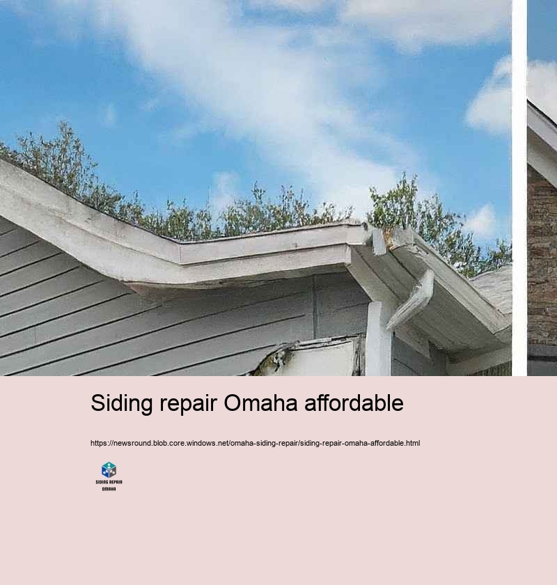 Increase Your Home’Curb Charm with Specialist Residence Exterior siding Repair in Omaha