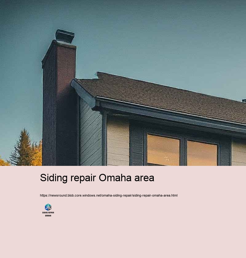 Customer Reviews: Siding Repair Success Stories in Omaha