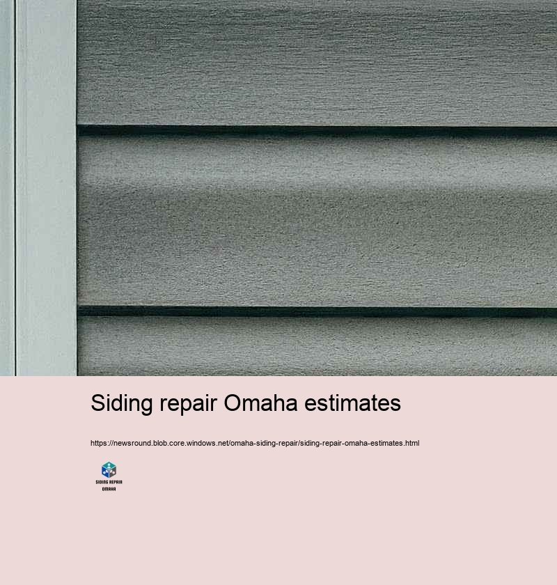 Increase Your Home’Reduce Beauty with Specialist Siding Repair in Omaha