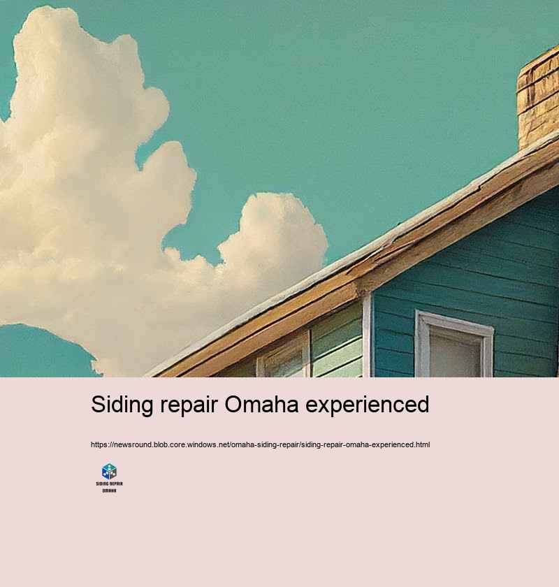 Customer Endorsements: Siding Repair Success Stories in Omaha