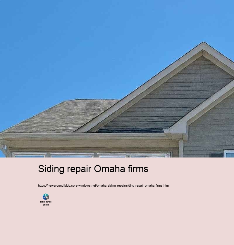 Customer Testimonies: Siding Repair Success Stories in Omaha