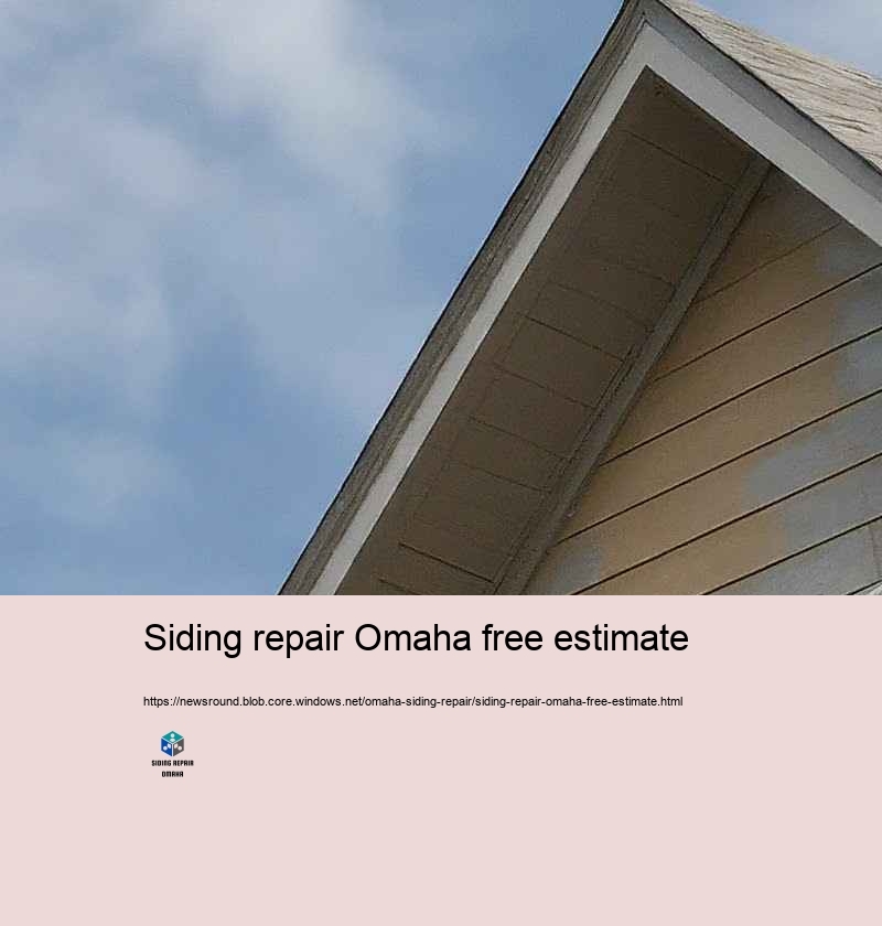 Spending plan Friendly and Trustworthy Siding Repair in Omaha